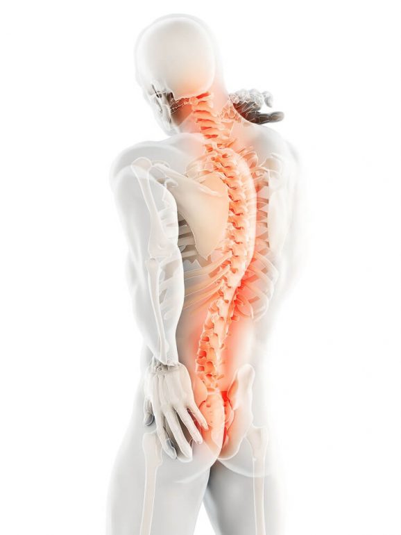 頸椎の構造と神経痛